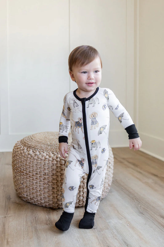 Sweet Bay Black and Gold Puppy Zippy