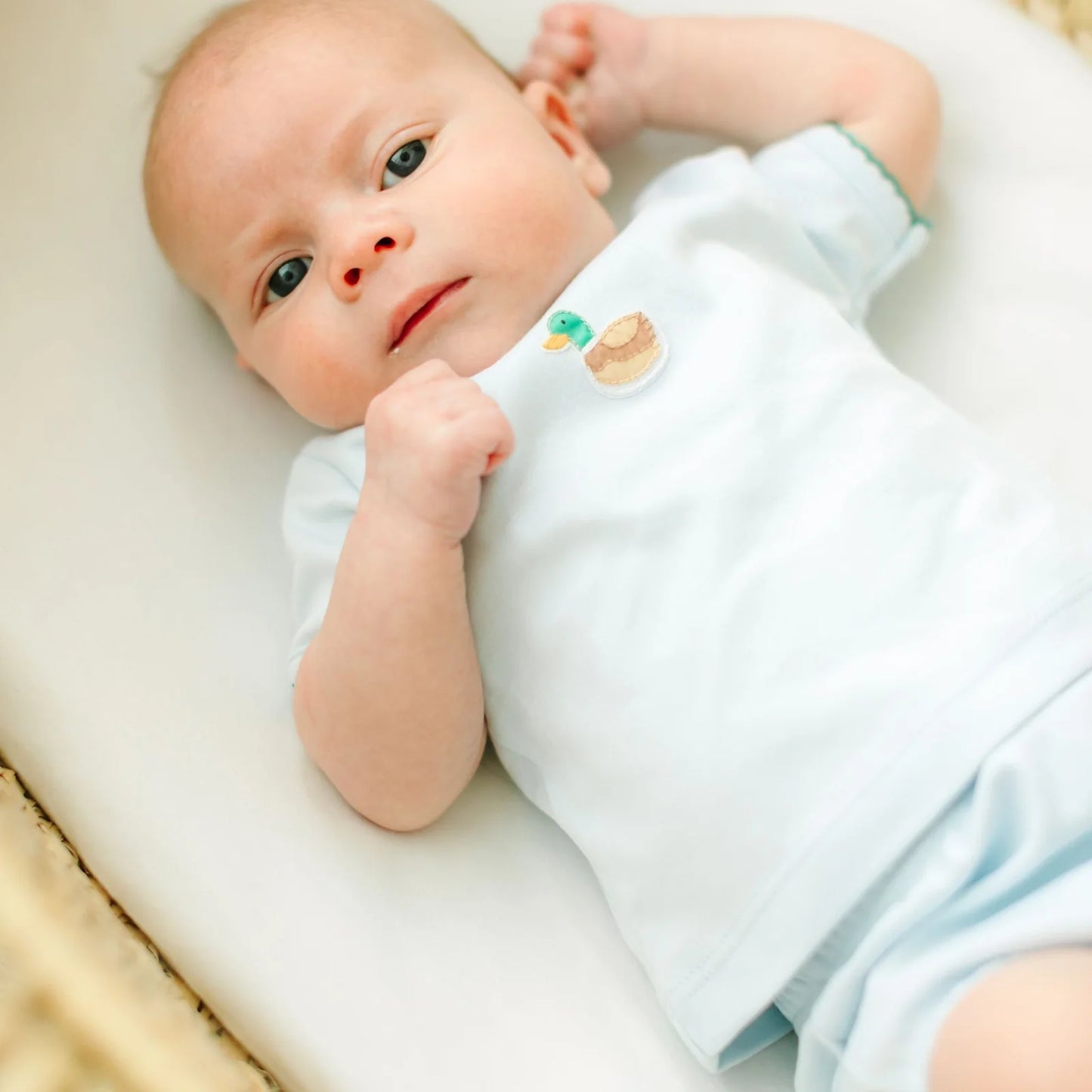 Magnolia Baby Mini Mallard Embroidered Diaper Cover Set Light Blue