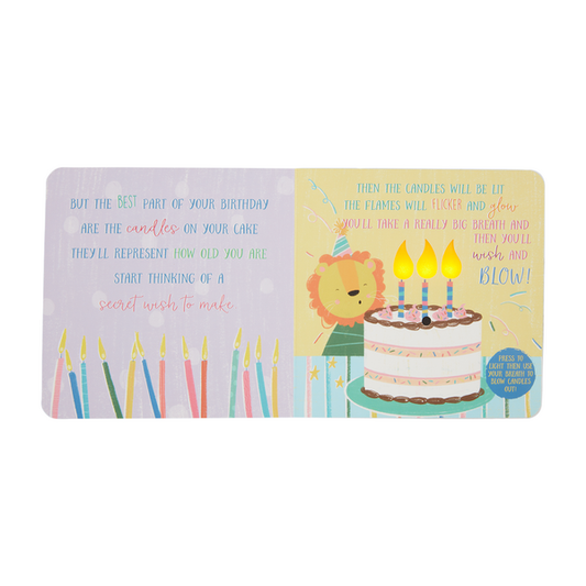 Mudpie Birthday Board Book