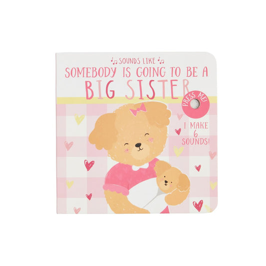 Mudpie Sounds Like Big Sister Book