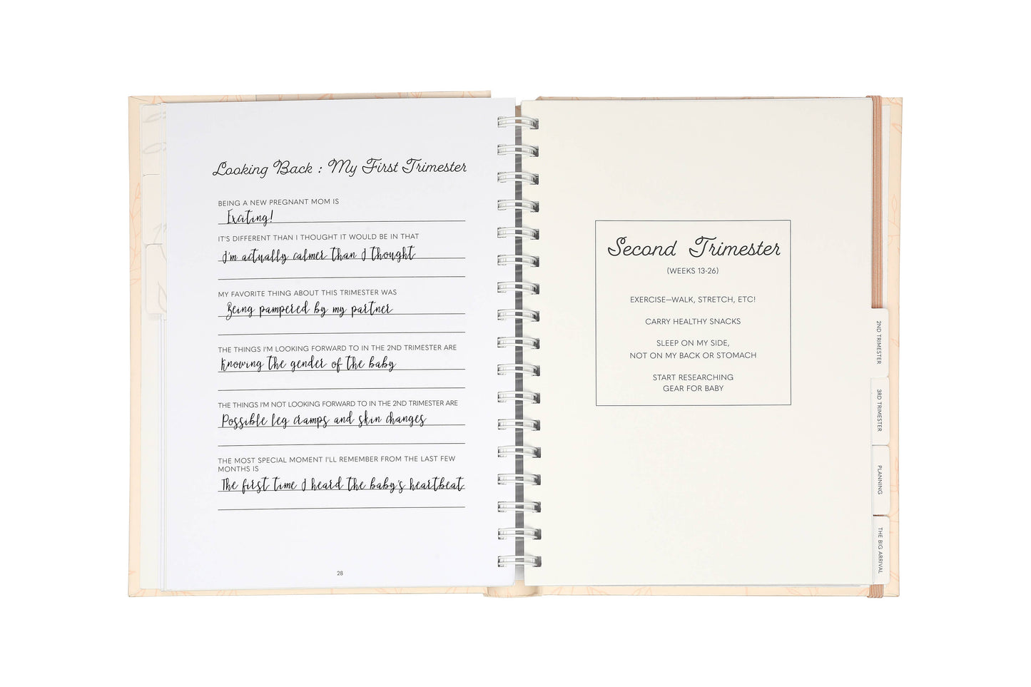 Leaves Keepsake Pregnancy Journal, Blush